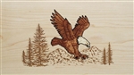 Eagle Panel