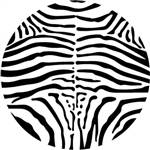 SM-Zebra 198 | Interior
